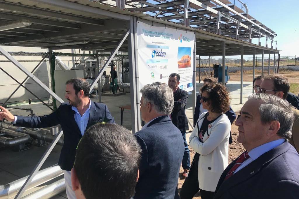 Extremadura desarrolla con éxito una instalación hibridada, solar y biomasa, que genera energía eléctrica, térmica de calor y térmica de frío