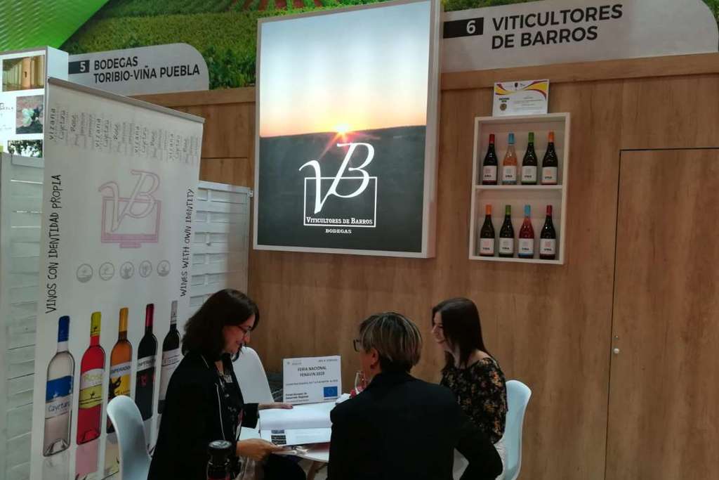 El sector vitivinícola extremeño difunde su marca en Fenavin 2019
