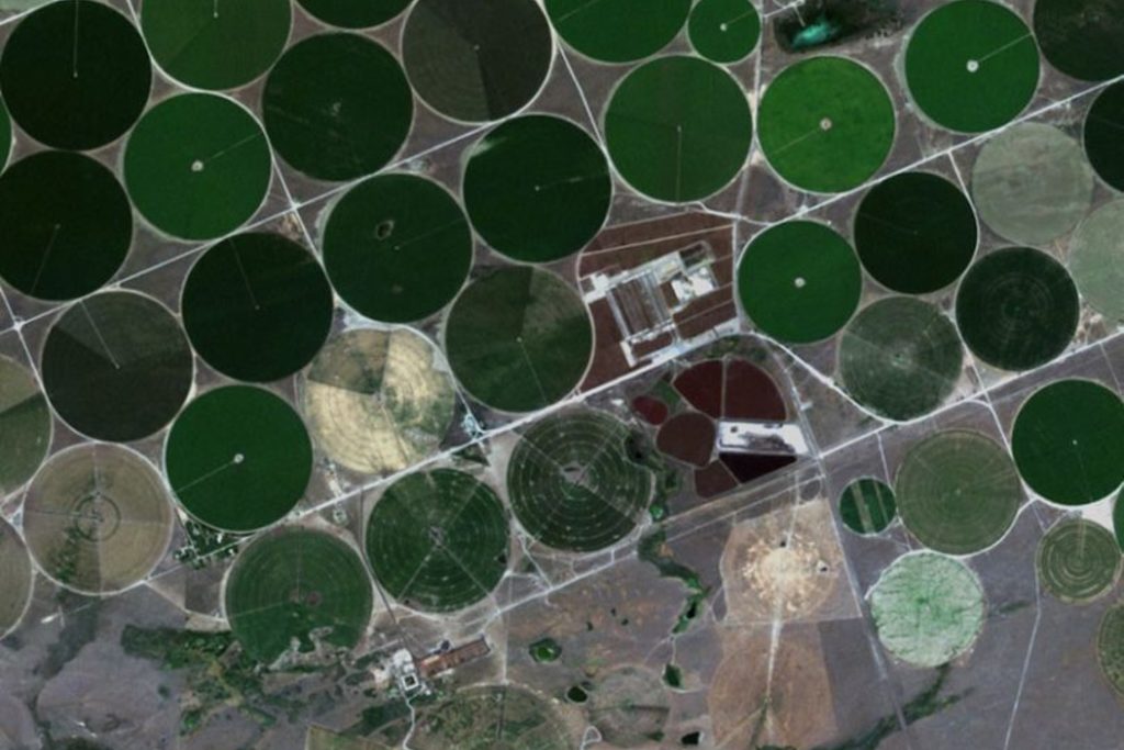 CICYTEX organiza una jornada formativa en la Finca La Orden para el uso de imágenes satelitales en el manejo y gestión de cultivos