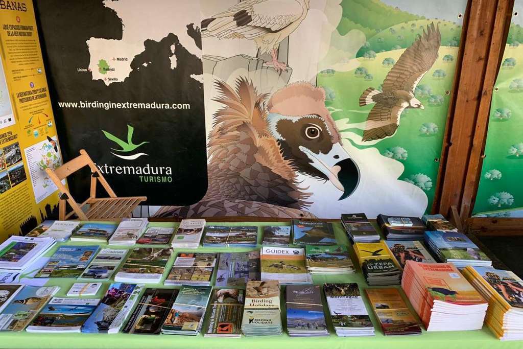 Extremadura invita a los turistas de Madrid a observar aves en la naturaleza y los núcleos urbanos de la región
