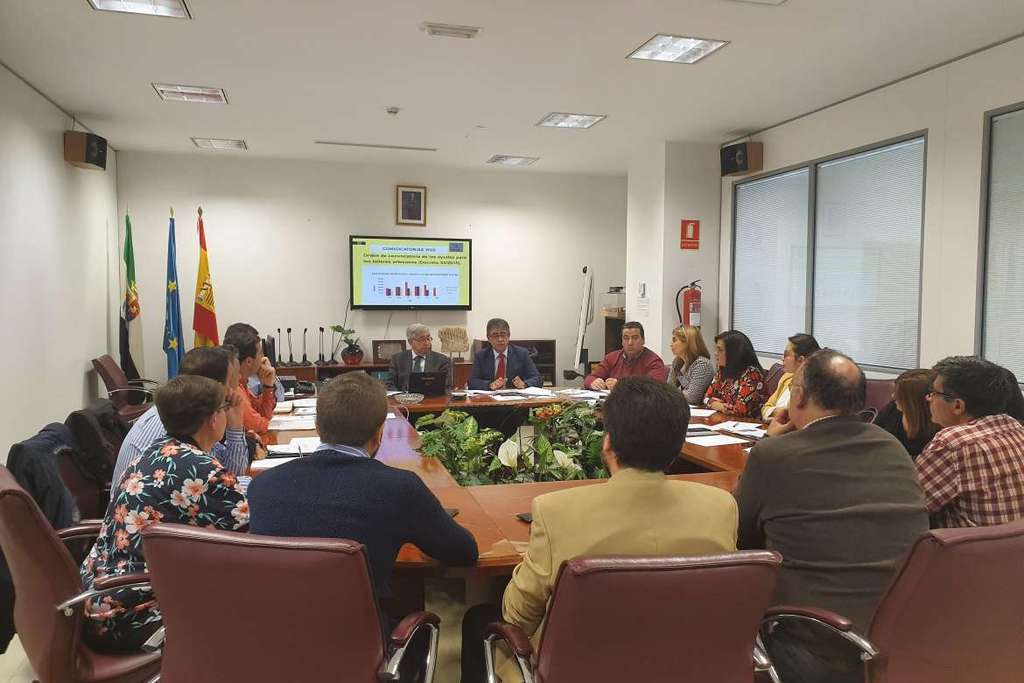 La Comisión Regional de Artesanía propone el nombramiento de dos nuevos maestros artesanos en Extremadura