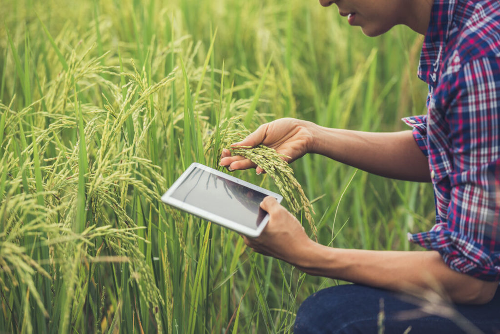 Agenda Digital analizará en una jornada online la transformación digital en el entorno rural extremeño