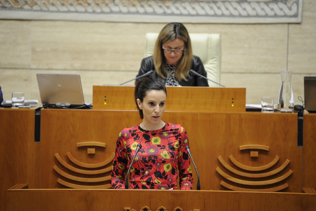 La consejera de Cultura presenta en la Asamblea de Extremadura el proyecto de ley de las Artes Escénicas