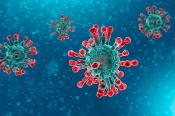 5 respuestas emergencia internacional coronavirus normal 3 2