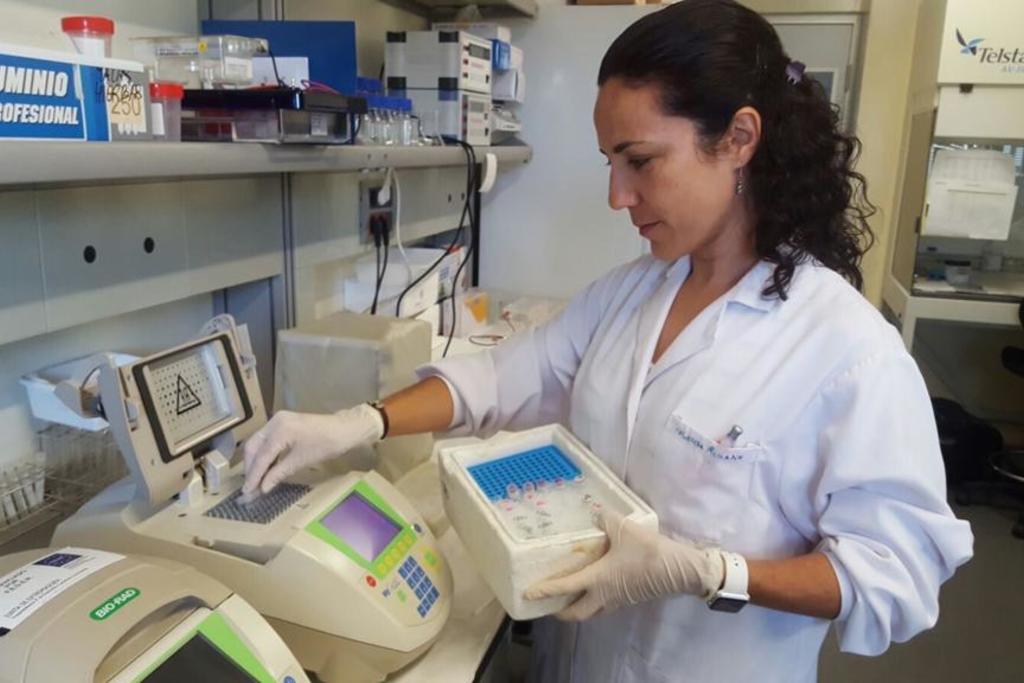 El personal especializado en técnicas de PCR de CICYTEX prestará apoyo a las autoridades sanitarias en la crisis del COVID-19