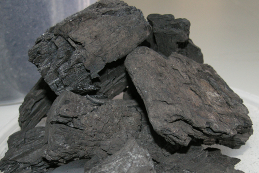 CICYTEX asume la presidencia del Comité Técnico de Normalización del Sector del Carbón Vegetal en España
