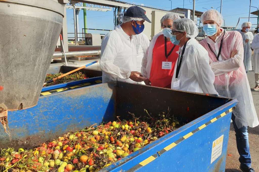 Begoña García destaca la capacidad de liderazgo del sector tomatero extremeño