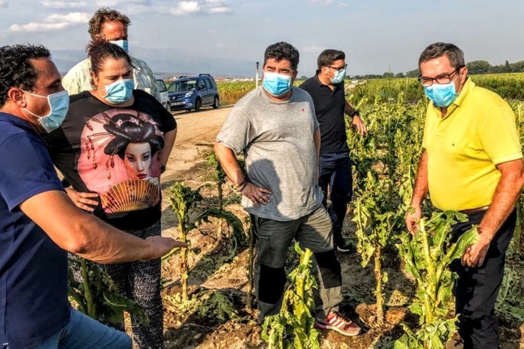 Begoña García visita explotaciones agrícolas afectadas por el granizo en el norte de Cáceres