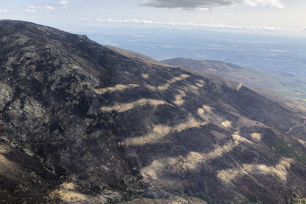 La Junta prohíbe cazar en los terrenos forestales afectados por el incendio de Valle del Jerte y La Vera