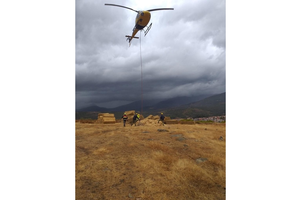 Un helicóptero del Infoex se incorpora a los trabajos de restauración forestal en el Jerte y La Vera