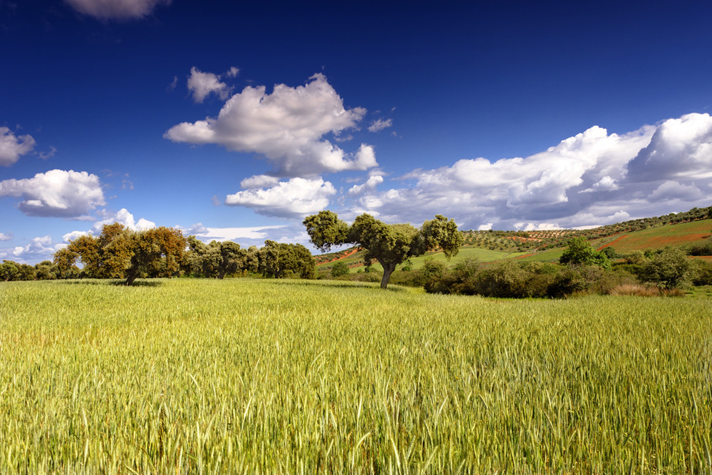 La Junta de Extremadura abona casi 74 millones de euros del pago verde de la solicitud única de 2020
