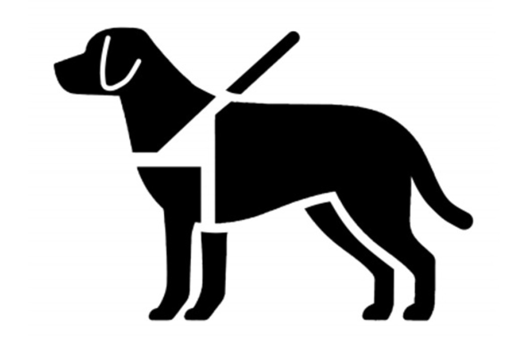 La Junta otorga el primer carné de vinculación entre un perro de asistencia y una persona con discapacidad específica
