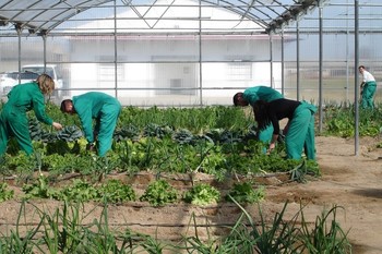 El directorio de venta a domicilio de producción agroalimentaria de Extremadura sigue aumentando con 197 inscripciones
