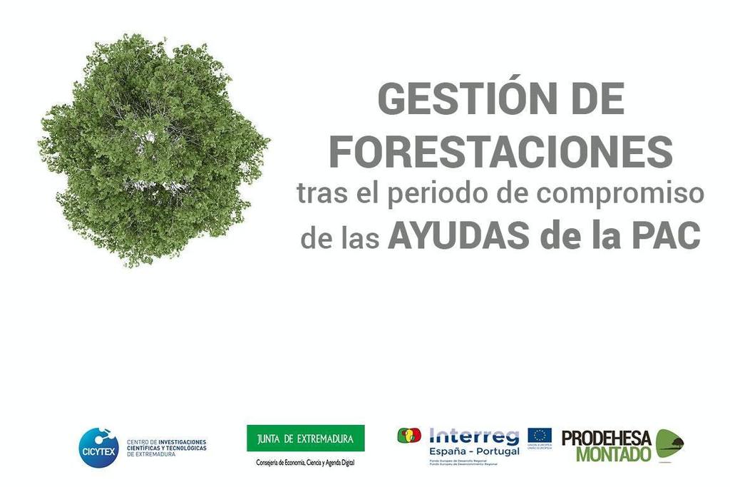 ICMC-CICYTEX organiza un seminario web dedicado a la gestión de forestaciones de tierras agrarias