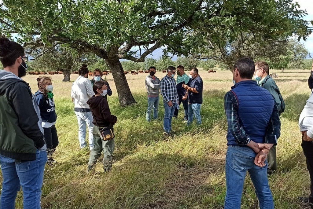 El Centro de Formación del Medio Rural de Navalmoral de la Mata capacita a jóvenes en prácticas de ganadería regenerativa y pastoreo dirigido