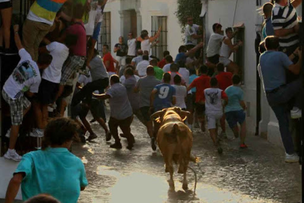 El Consejo de Asuntos Taurinos de Extremadura presenta una guía para la celebración de festejos populares con toros