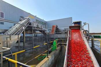 Begoña García destaca que Extremadura es la mayor productora de tomate para industria del país y el incremento del precio de este producto en esta campaña