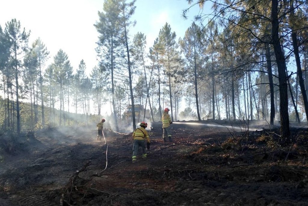La campaña de peligro alto de incendios en Extremadura finaliza con 5.227 hectáreas afectadas, un 25 por ciento menos que en el verano anterior