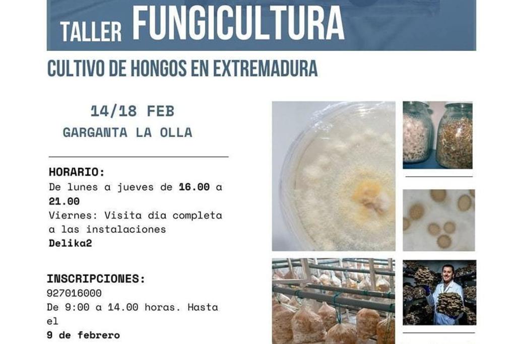 El CFMR de Navalmoral de la Mata imparte un taller sobre cultivo de hongos del 14 al 18 de febrero