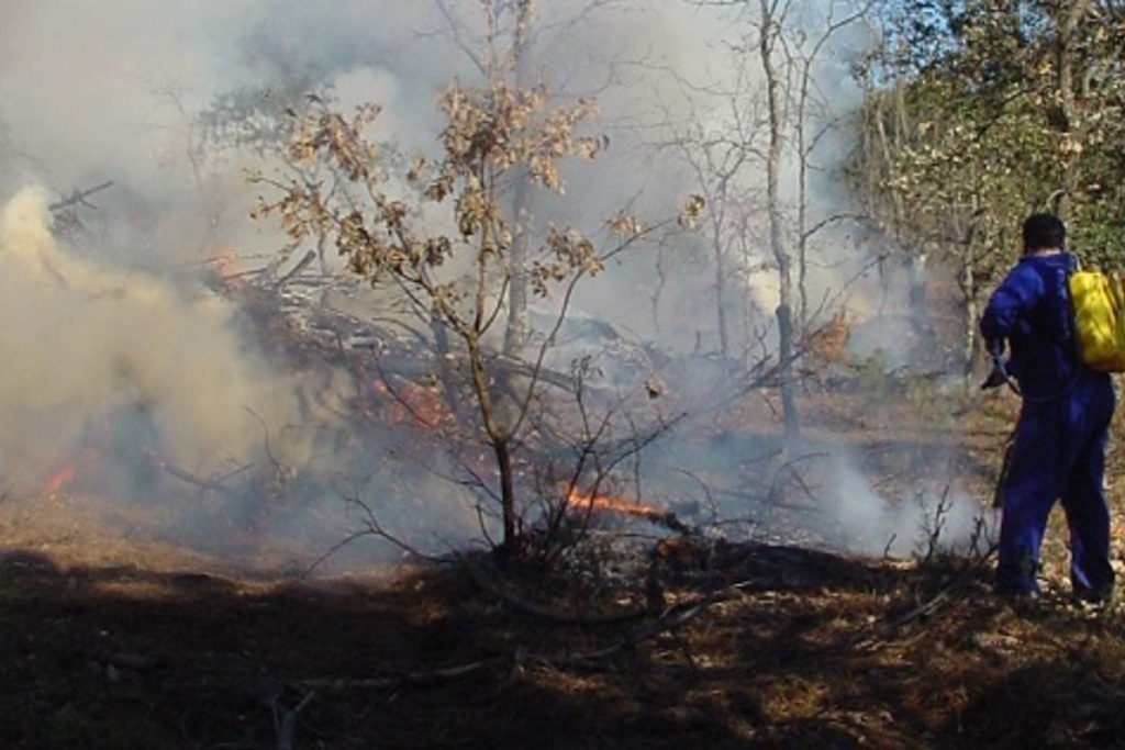 La Junta pide extremar precauciones en las quemas de restos vegetales y solicita aplazarlas ante las adversas condiciones meteorológicas