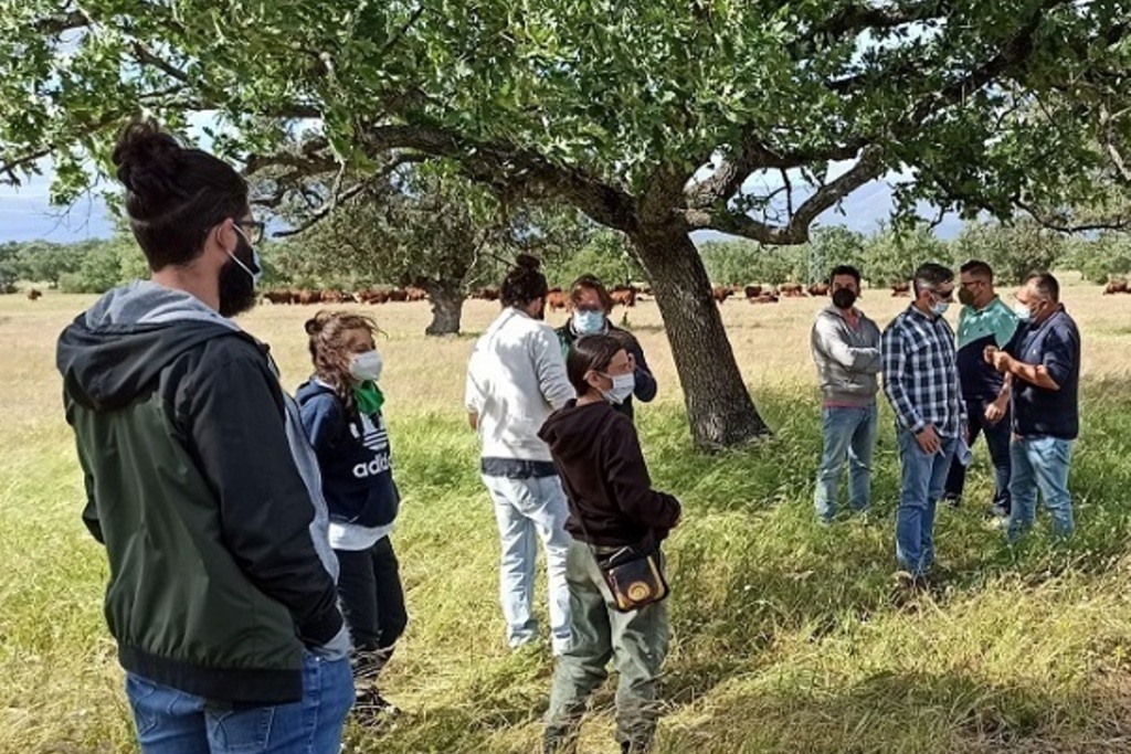 Agricultura publica la relación de personas beneficiarias de las ayudas de creación de empresas para jóvenes agricultores en Extremadura, de 2021