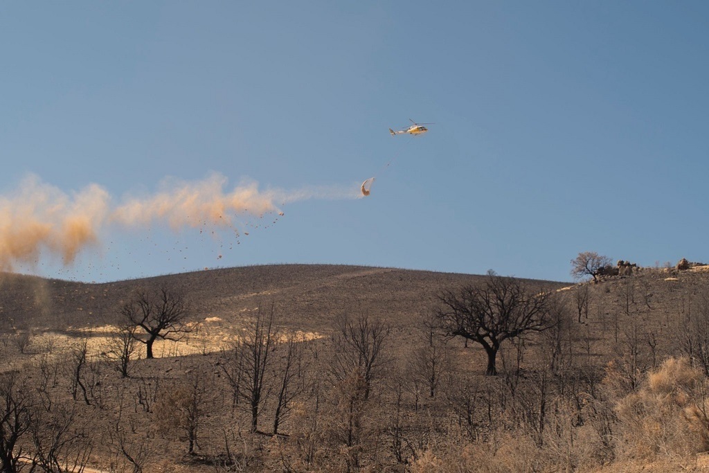 Publicadas las Zonas de Actuación Urgente de las superficies forestales afectadas por los incendios de Las Hurdes y Sierra de Miravete donde ya se trabaja