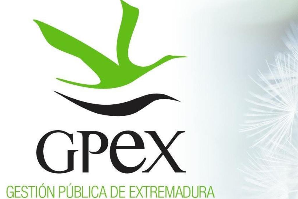 GPEX convoca dos ofertas para perfiles relacionados con la informática y la seguridad y salud de obras relacionadas con infraestructuras rurales