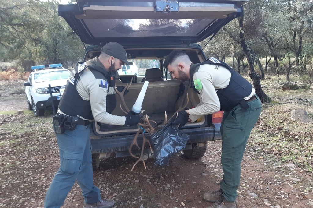 Agentes del medio natural realizan controles de actividad cinegética para luchar contra el furtivismo en Extremadura
