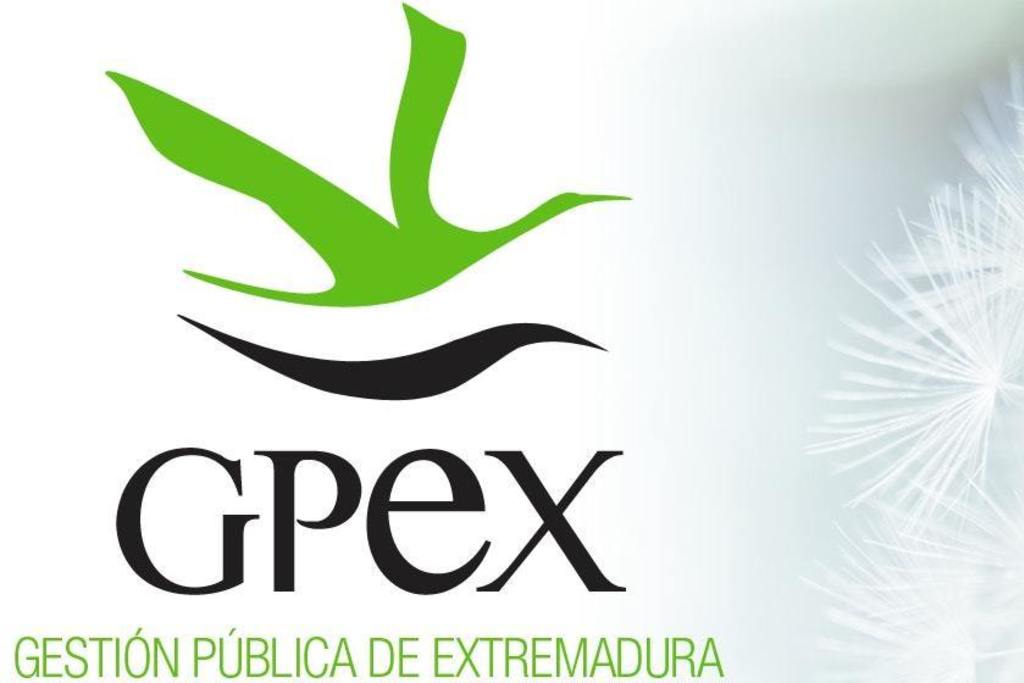 GPEX convoca dos ofertas de empleo de personal con perfiles de analista y programador informático