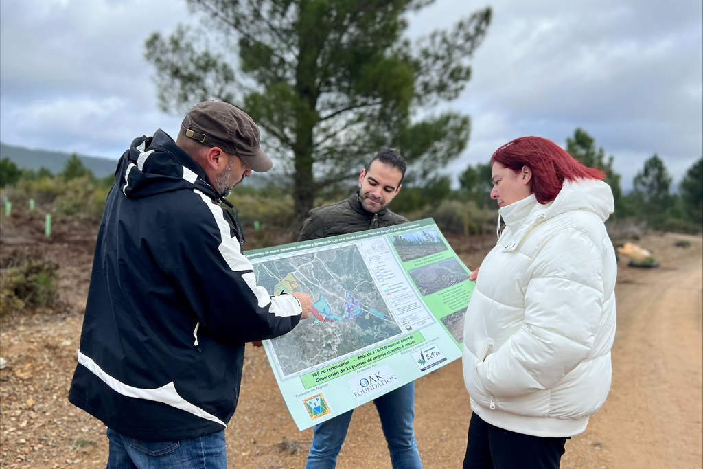 La Junta de Extremadura destina más de 660.000 euros a obras forestales en el Valle del Árrago dentro del Acuerdo Marco