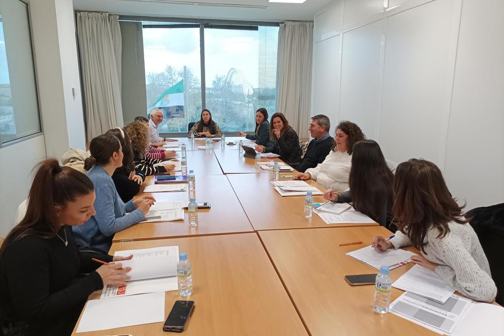 El acceso de la población joven a la vivienda y la mejora de sus condiciones laborales centran la Comisión de seguimiento del VII Plan de Juventud de Extremadura 2021-2024