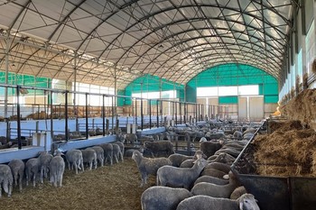 La Junta ha concedido 699.000 euros a la Cooperativa Sierra de San Pedro para la comercialización de ganado y estudia nuevo expediente para otra ampliación