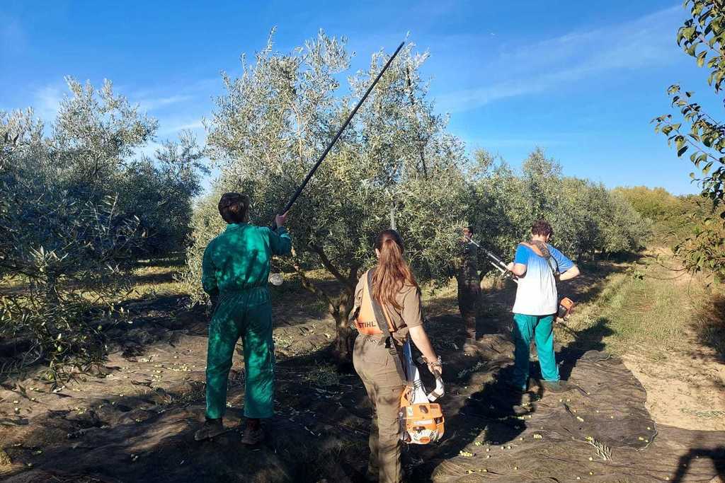 Extremadura supera el centenar de explotaciones en régimen de titularidad compartida