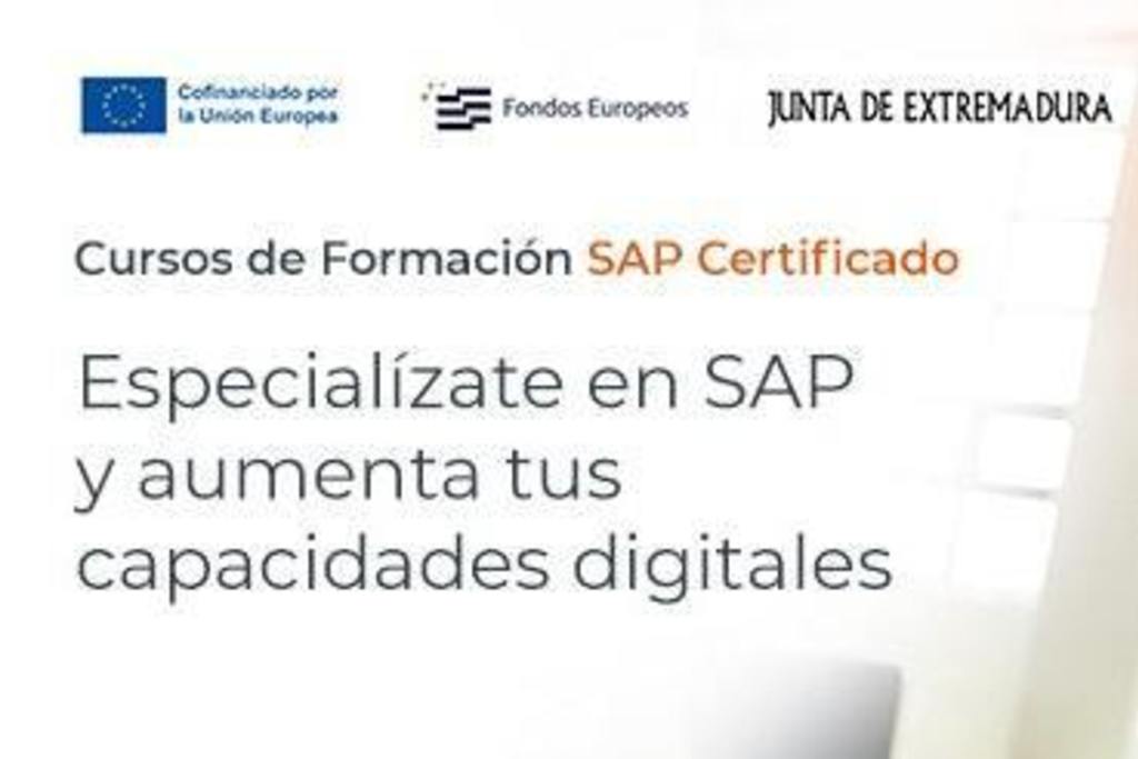 La Dirección General de Empresa organiza un seminario web para dar a conocer la formación especializada en Tecnología SAP
