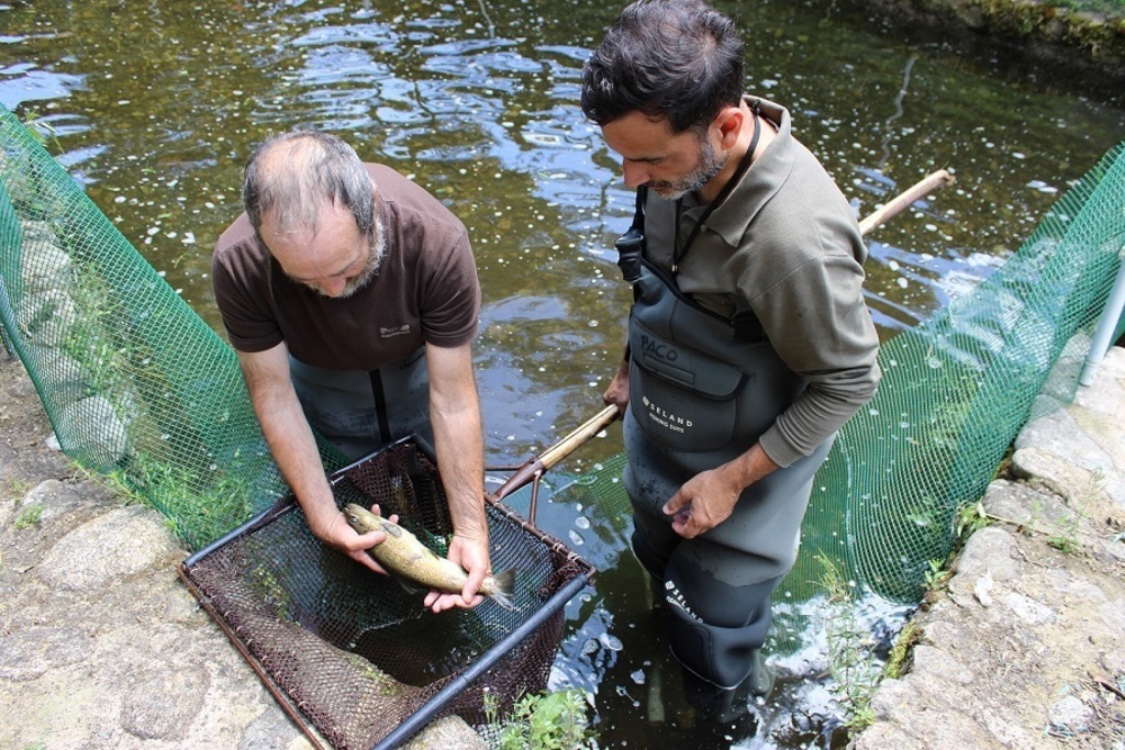 El centro de reproducción de truchas salvajes del Jerte naturaliza sus estanques y funciona como un brazo más del río