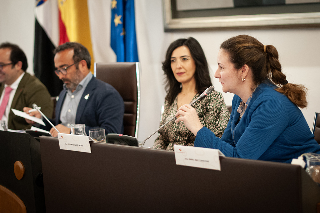 La Diputación de Cáceres aprueba en pleno el programa “Promoción económica y activación del empleo tecnológico e industrial”