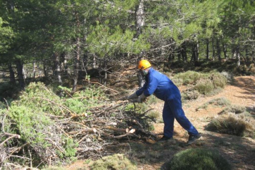 Alcaldes socialistas de Las Hurdes piden que se contrate a sus vecinos para trabajos forestales