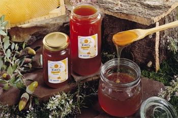 La miel de Villuercas-Ibores protagoniza la Denominación de Origen de marzo en el programa de Cáceres, Capital Gastronómica