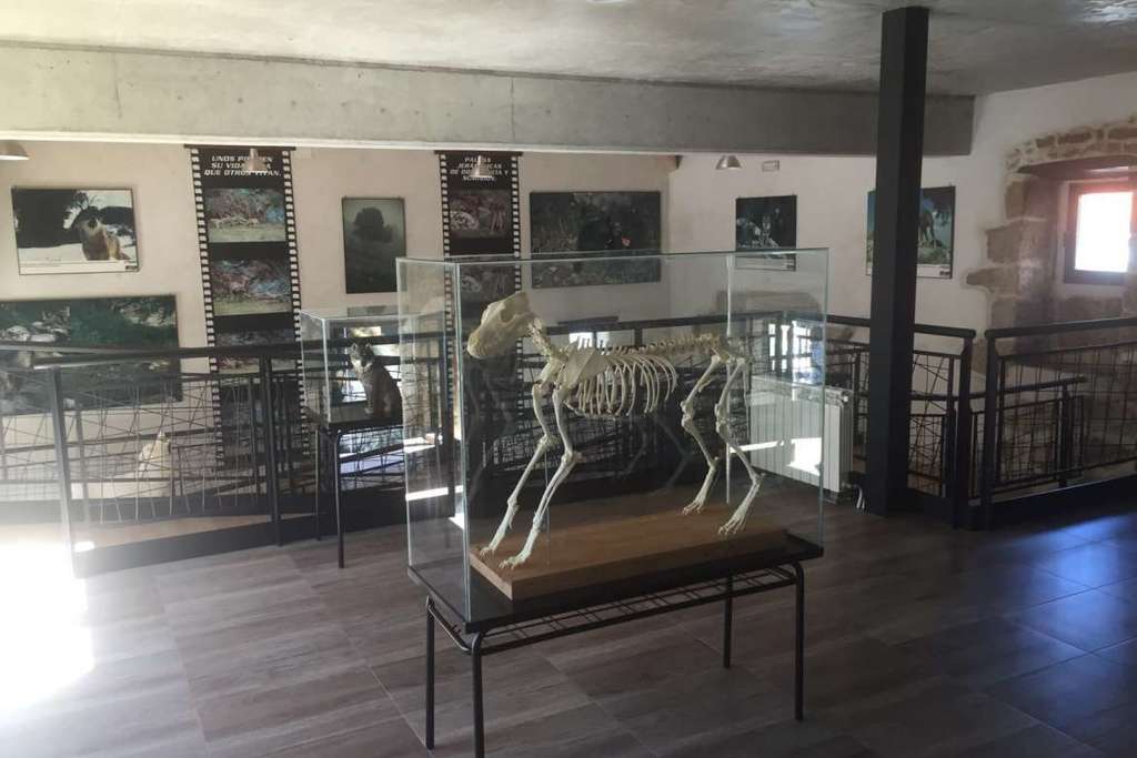 El Centro de Visitantes El Lobo, el primer espacio cultural dedicado a este animal en Extremadura