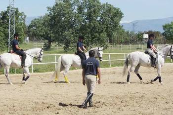 La Consejería de Educación y Empleo convoca la contratación de un picadero de caballos para desarrollar actividades de Formación Profesional
