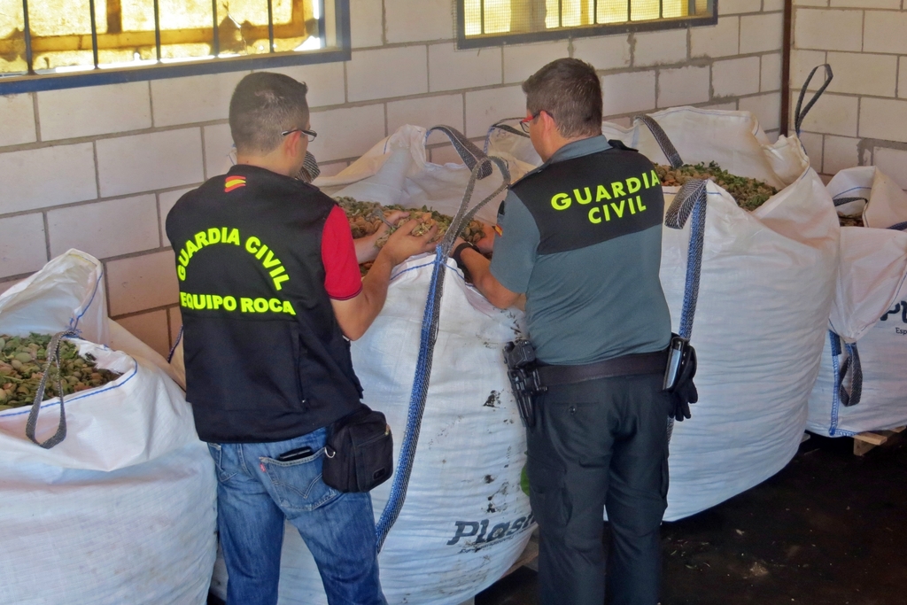 Operación de la Guardia Civil contra los robos de almendras en la provincia de Badajoz