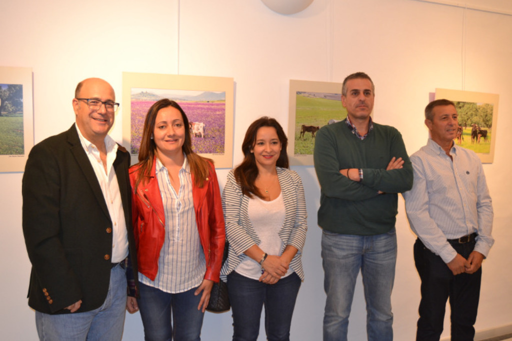 Inaugurada en Jerez de los Caballeros la exposición Toros y Dehesa de Extremadura organizada por la Diputación de Badajoz