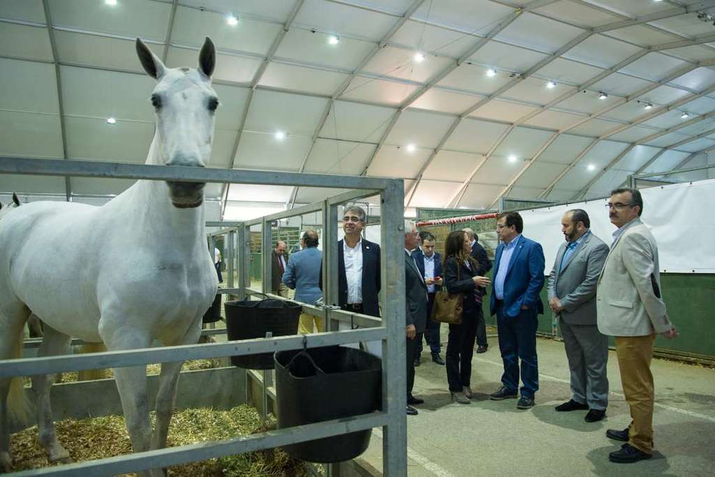 Extremadura apoya a las ganaderías y empresas de la región con presencia en SICAB 2016