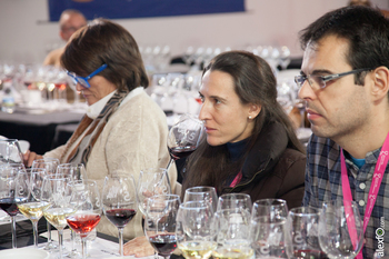 Mario louro cata de vinos ibericos iberovinac enoturismo 2015 almendralejo 28112015 img 8254 normal 3 2