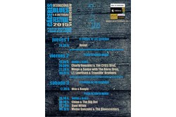 Programa del vi caceres blues festival 2015 programa2015 copia dam preview