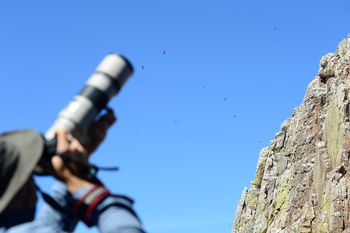 Birdwatching monfrague conferencia internacional ornitologos badajoz 2015 dsc 5053 normal 3 2