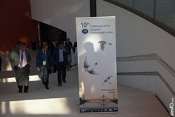 Apertura - inauguración de X Conferencia Internacional Ornitología de la UEO conferencia ornitologia extremadura-4061