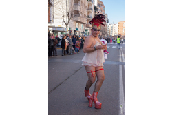 Entierro de la Sardina - Carnaval Badajoz 2015 IMG_9111
