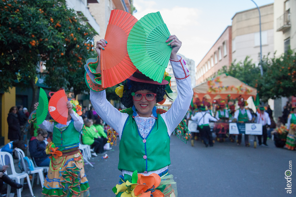 Comparsa La Movida - Carnaval Badajoz 2015 IMG_8101