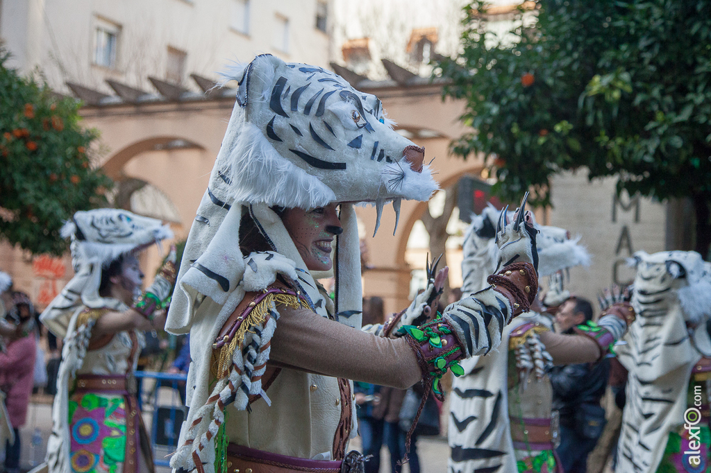 Comparsa Cambalada - Carnaval Badajoz 2015 IMG_7870